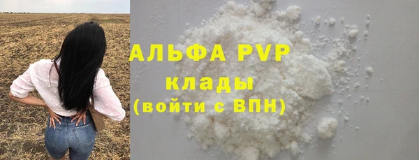 МДПВ Бородино
