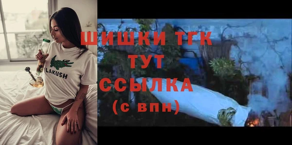 прущие грибы Бронницы