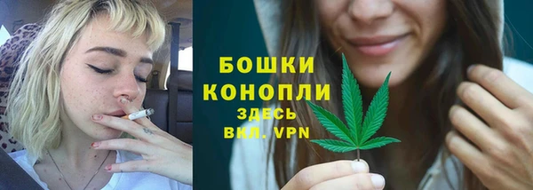 прущие грибы Бронницы