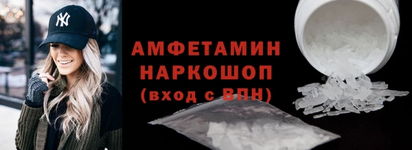 МДПВ Бородино