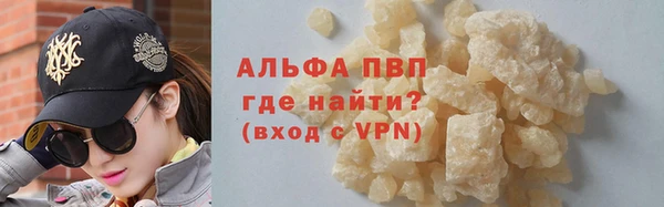 прущие грибы Бронницы