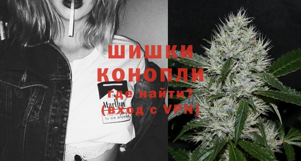 МДПВ Бородино