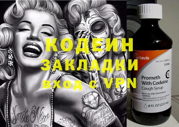 прущие грибы Бронницы