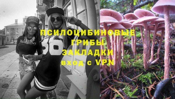 МДПВ Бородино