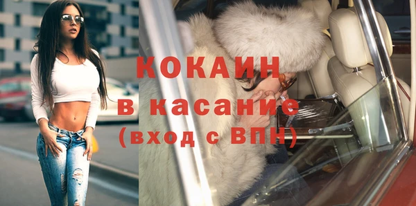 МДПВ Бородино