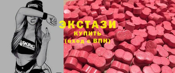МДПВ Бородино