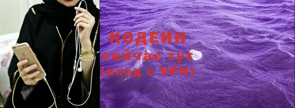 МДПВ Бородино