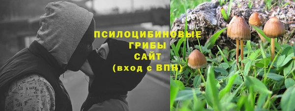 прущие грибы Бронницы