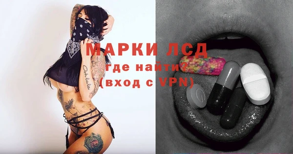 МДПВ Бородино