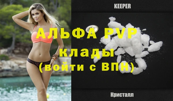 прущие грибы Бронницы